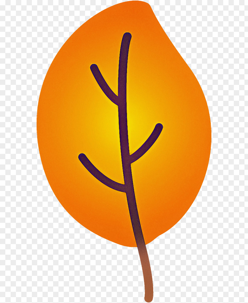 Orange PNG