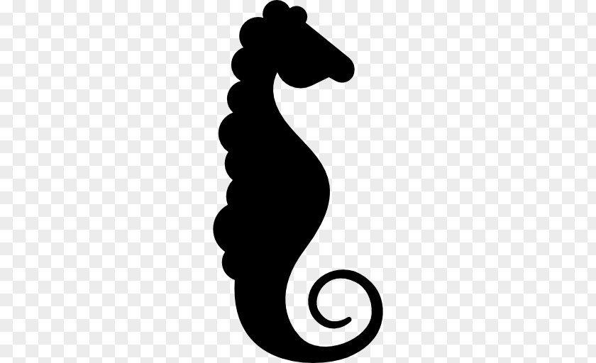 Seahorse PNG
