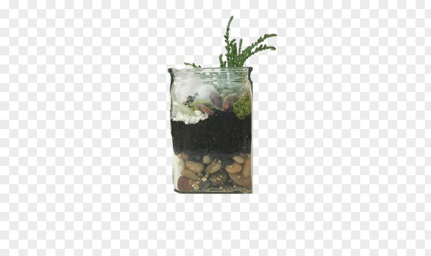Suculent Flowerpot Vase Herb PNG
