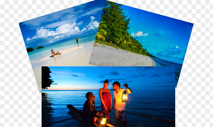 Vacation South Pacific Tourism Organisation Travel Agent PNG