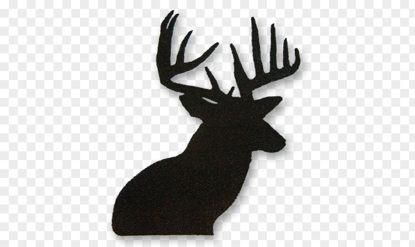 Deer White-tailed Reindeer Moose Antler PNG