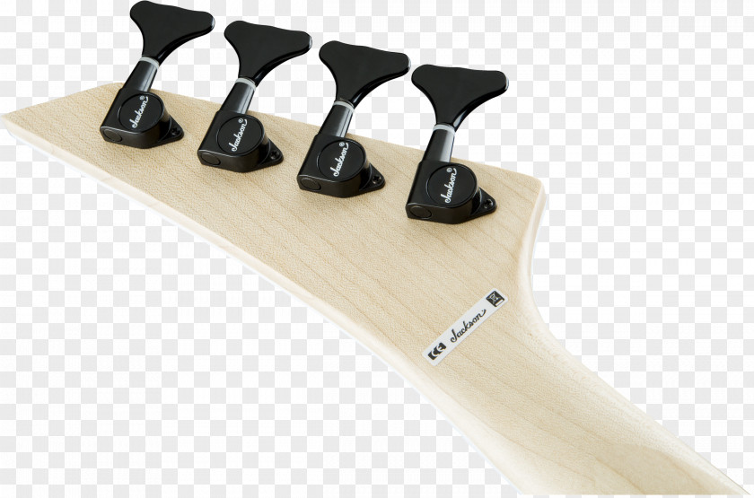 Fingerboard Bassist Bass Guitar Jackson Guitars PNG