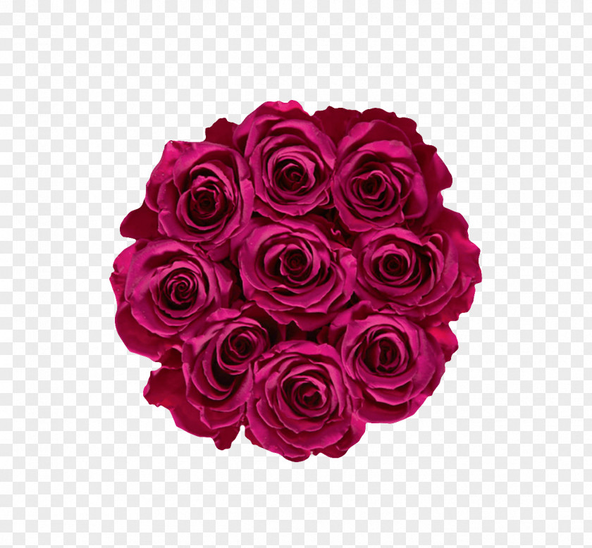 Flower Garden Roses Cabbage Rose Cut Flowers Floral Design PNG