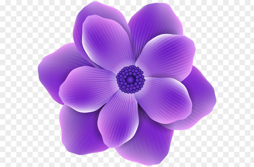 Purple Flowers Flower Rose Clip Art PNG