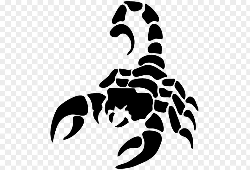 Scorpion Silhouette Clip Art PNG