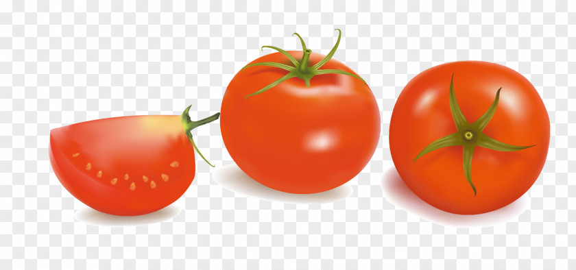 Tomato Clip Plum Bush Vegetable PNG