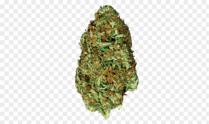 Cannabis Kush Northern Lights Skunk Tetrahydrocannabinol PNG