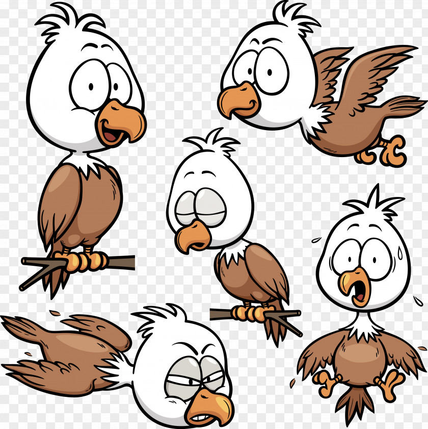 Eagle Royalty-free Bald Stock Photography PNG