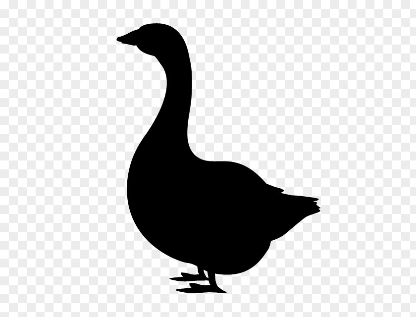 Illustrations Domestic Duck Silhouette Goose Clip Art PNG