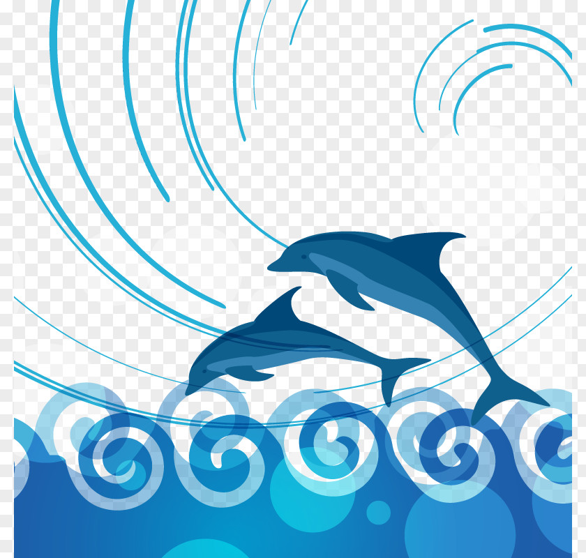Vector Dolphins Leap Burrunan Dolphin PNG