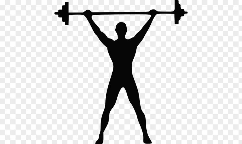 Barbell Olympic Weightlifting Weight Training Dumbbell PNG