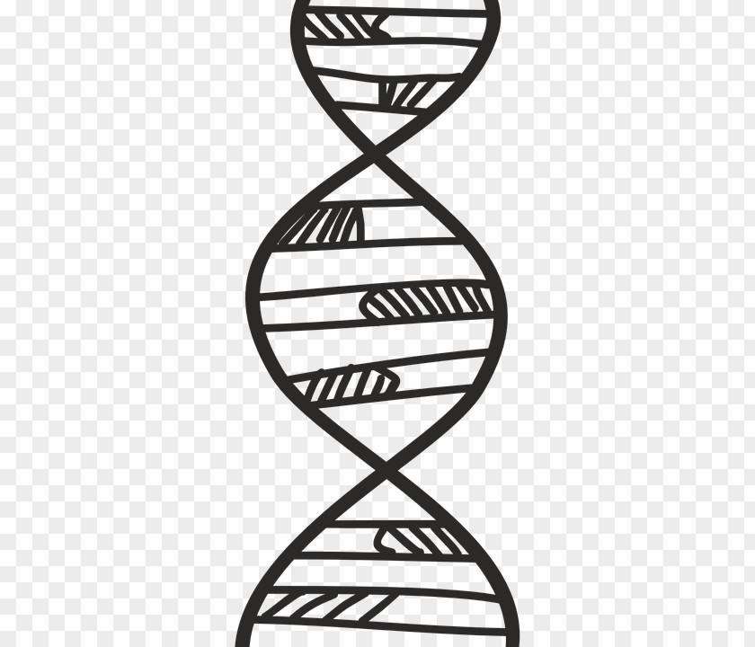 Biologia DNA Profiling Genetics Vector Graphics Biology PNG
