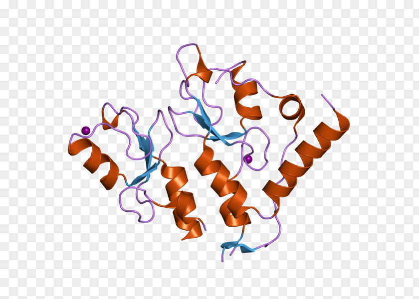 European Bioinformatics Institute BMI1 Protein RNF2 PNG