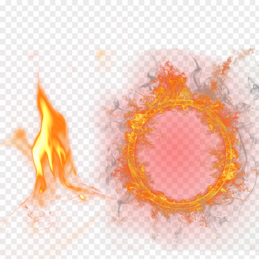 Fire Ring Burning Flame Combustion PNG