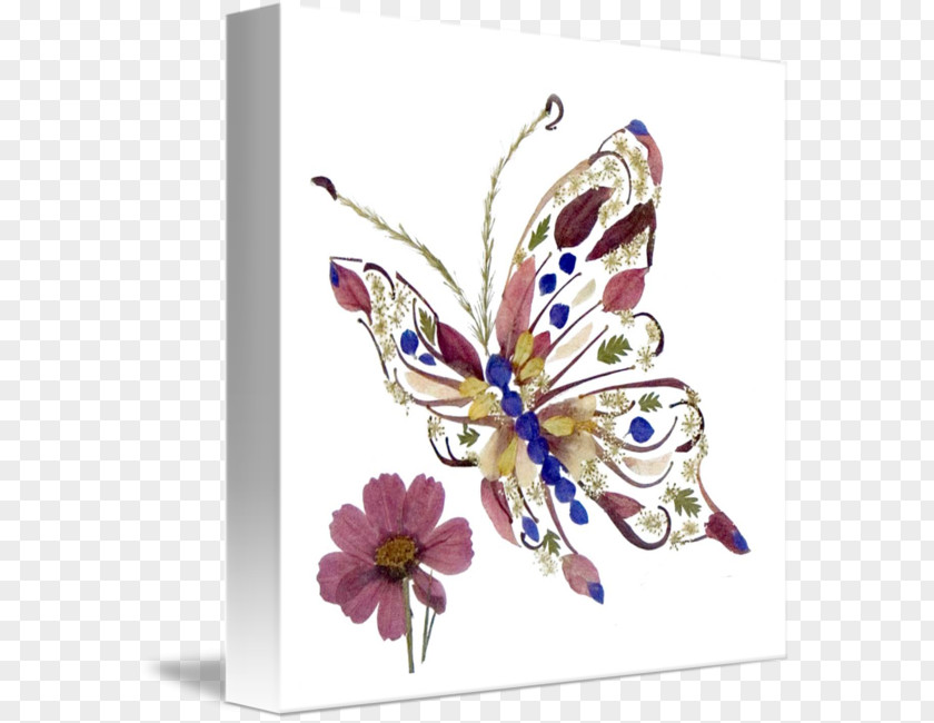 Glossy Butterflys Pressed Flower Craft Floral Design Art Nouveau PNG