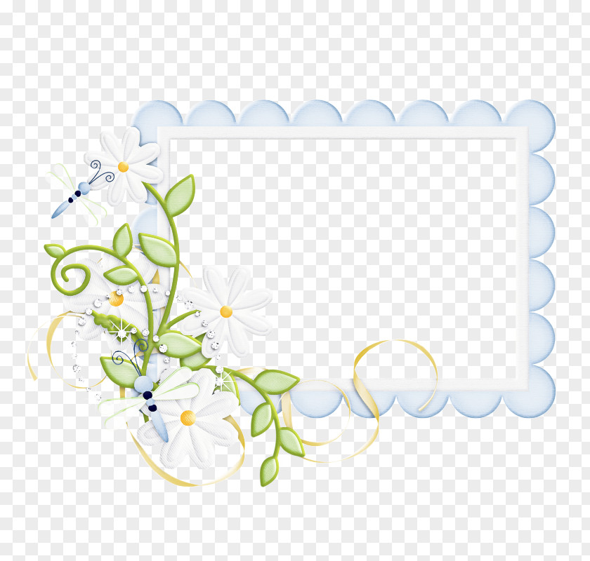 Paper Product Wildflower Floral Design PNG
