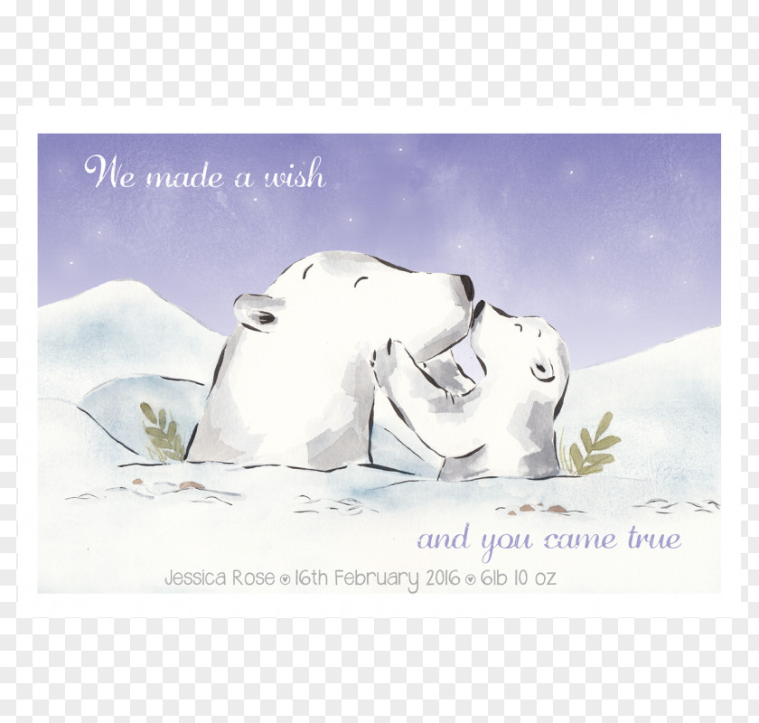 Polar Bear Illustrator Art Ireland PNG