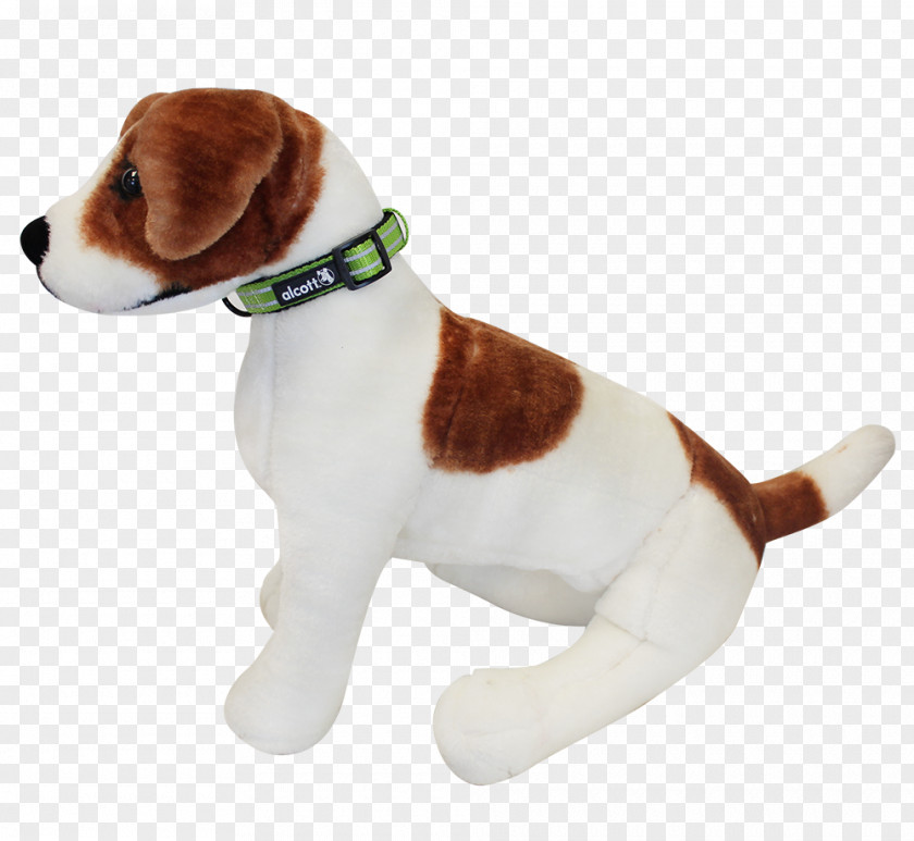 Puppy Beagle English Foxhound Jack Russell Terrier PNG