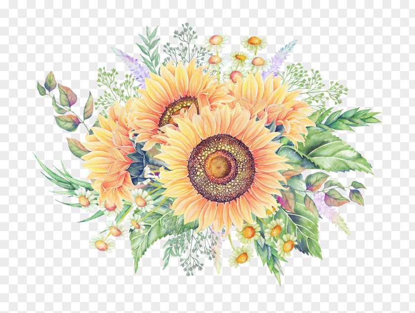 Sunflower Decorative Patterns Common Cartoon PNG