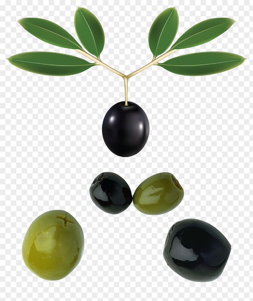 Black Olive Green With Foliage Leaf Oil PNG