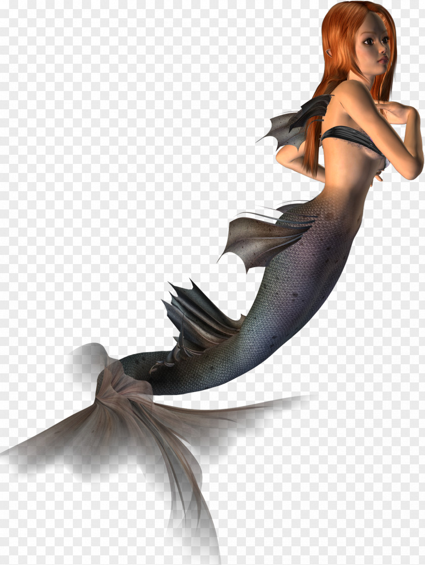 Commercial Advertisement Mermaid Clip Art PNG