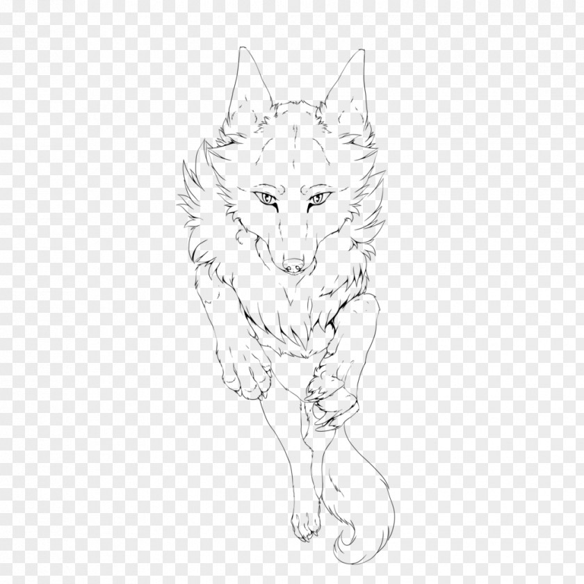 Dog Whiskers Line Art White Sketch PNG