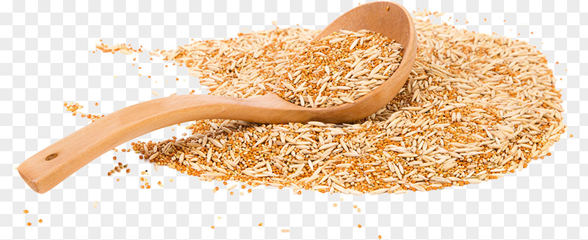 Good Taste Oat Cereal Stock Photography Wheat PNG