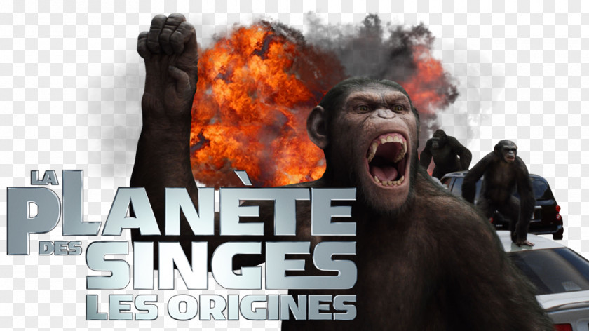 Planet Of The Apes 0 Television Fan Art PNG