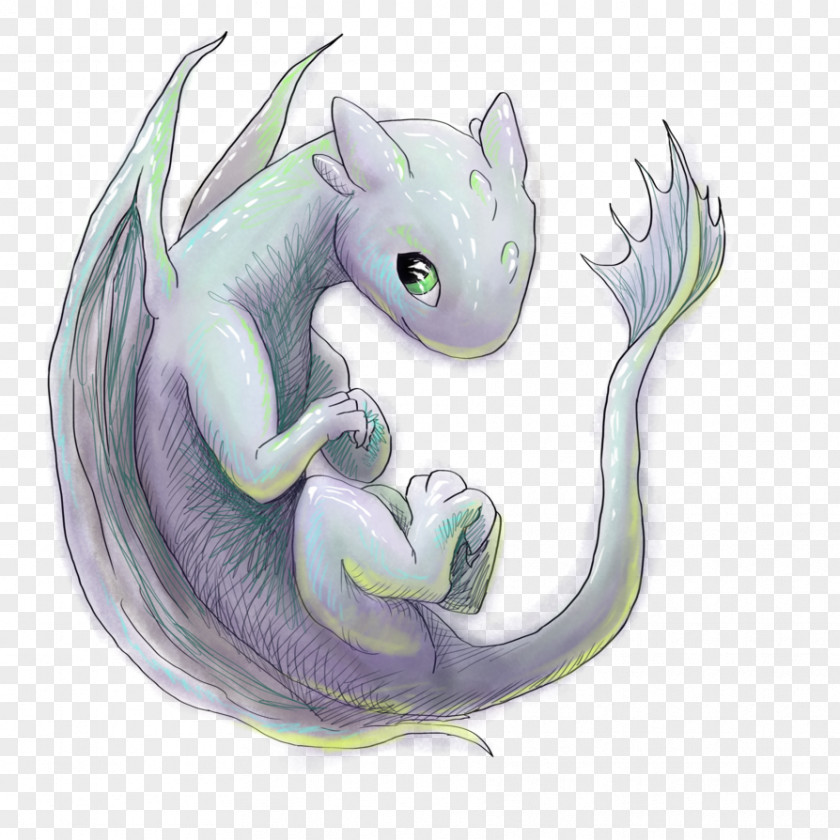 Rat Mouse Dragon Cat PNG