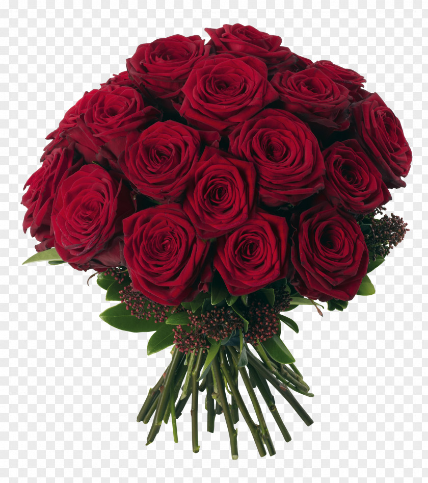 Transparent Red Roses Bouquet Clipart Picture Flower Rose PNG