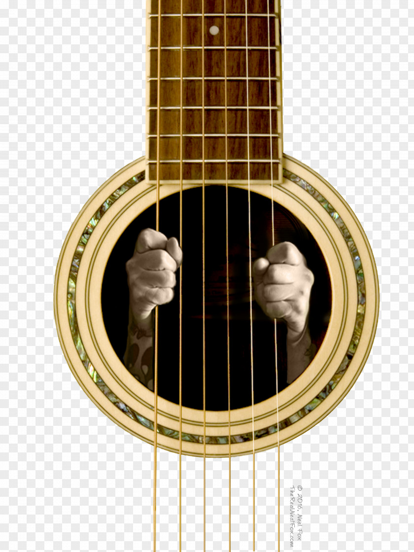 Acoustic Guitar T-shirt Musical Instruments PNG