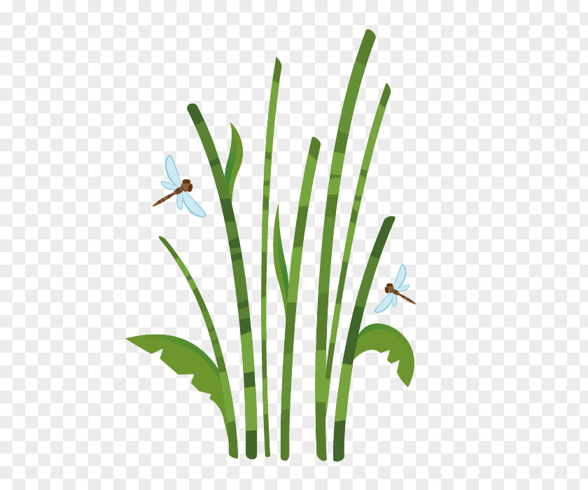 Cane Vine Bamboo Sticker Drawing Bamboe Reed PNG