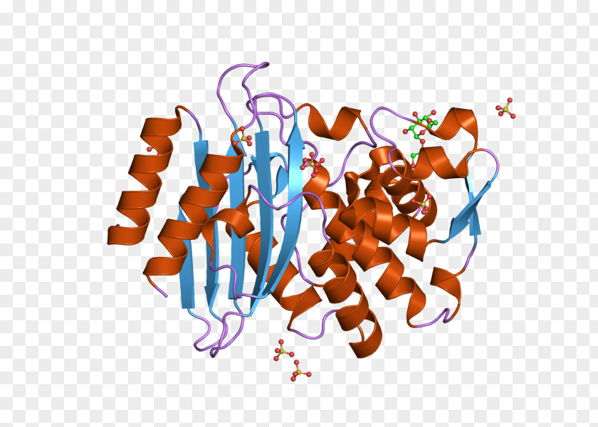 European Bioinformatics Institute RAR-related Orphan Receptor Beta Natriuretic Peptide Nuclear PNG