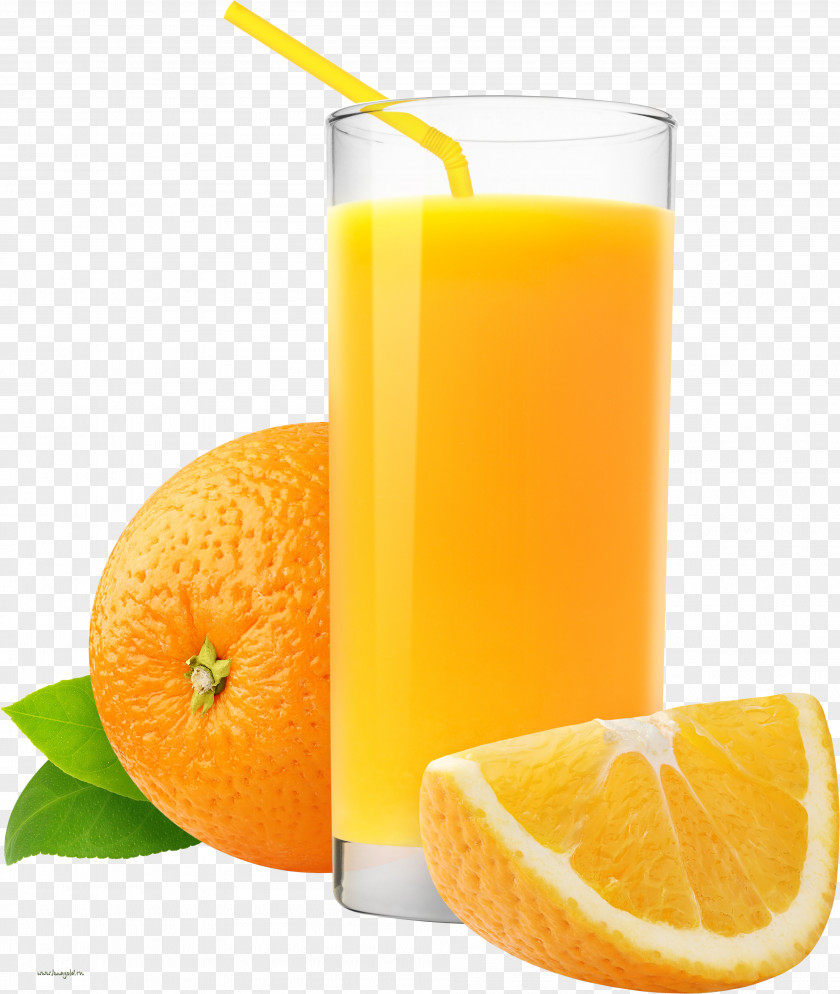 Juice Orange Drink Soft PNG