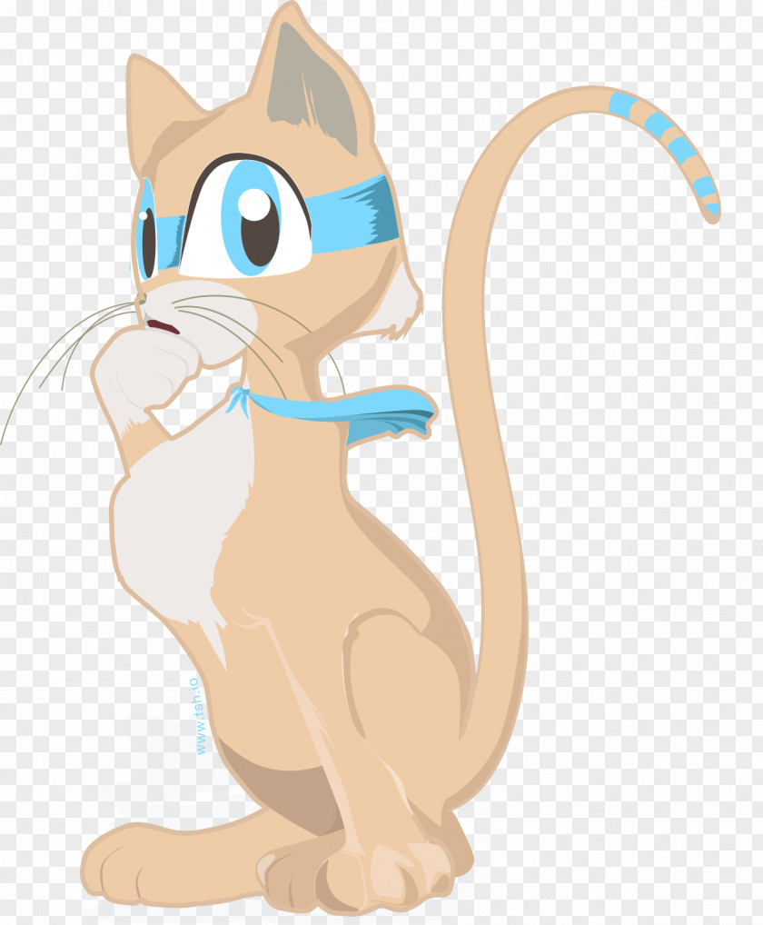 Kitten Whiskers Tabby Cat Rodent PNG