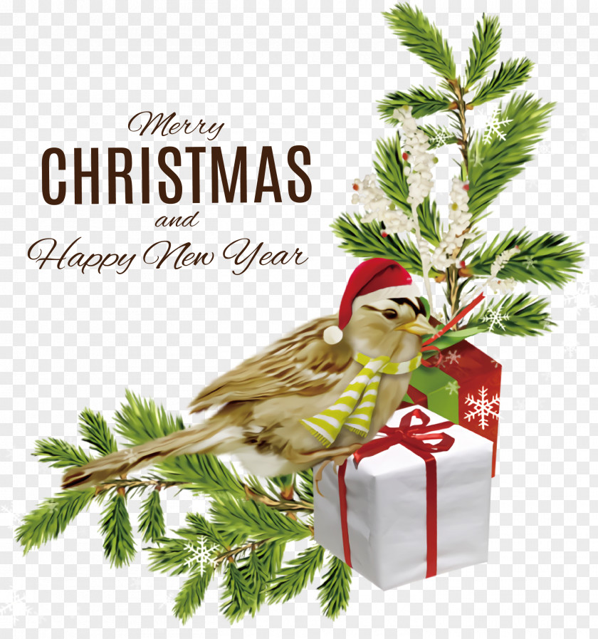 Merry Christmas Happy New Year PNG
