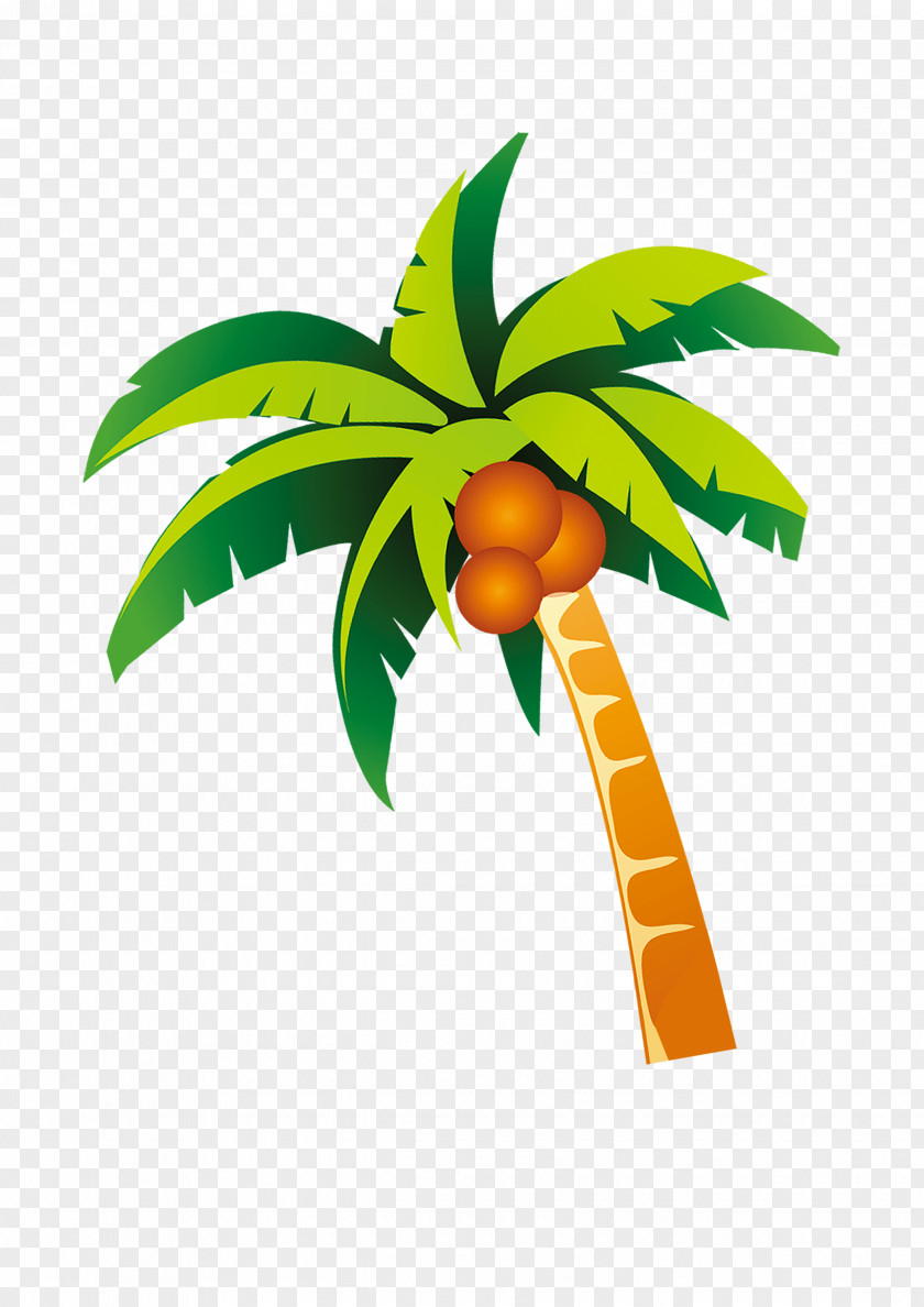 Palm Beach Style Nata De Coco Coconut PNG