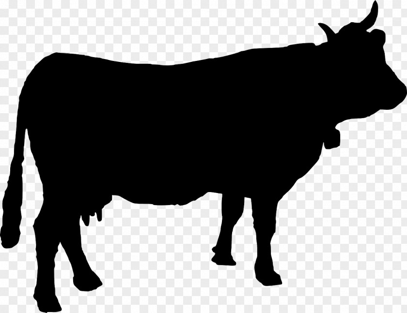 Silhouette Beef Cattle Highland Clip Art PNG