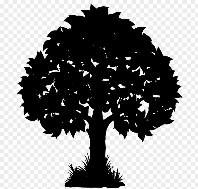 Vector Graphics Clip Art Silhouette Oak Illustration PNG