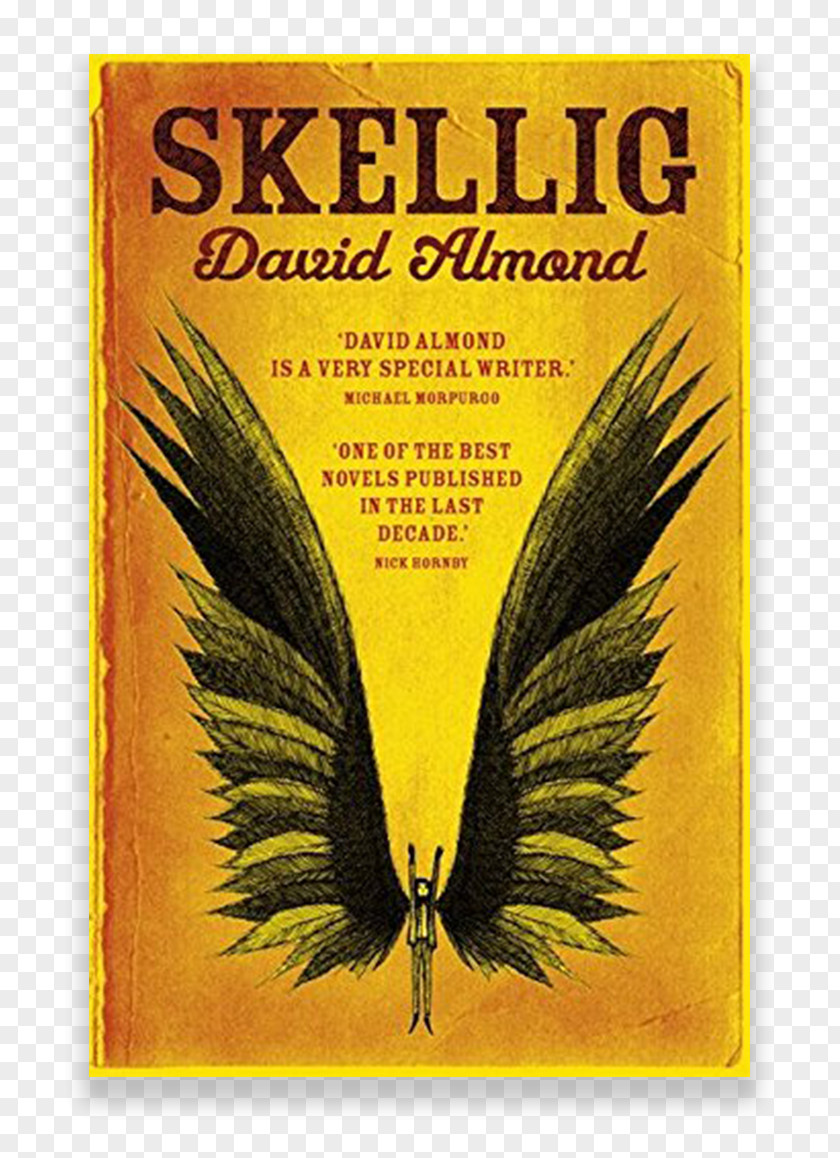 Book Skellig By David Almond Children's Literature Carnegie Medal PNG