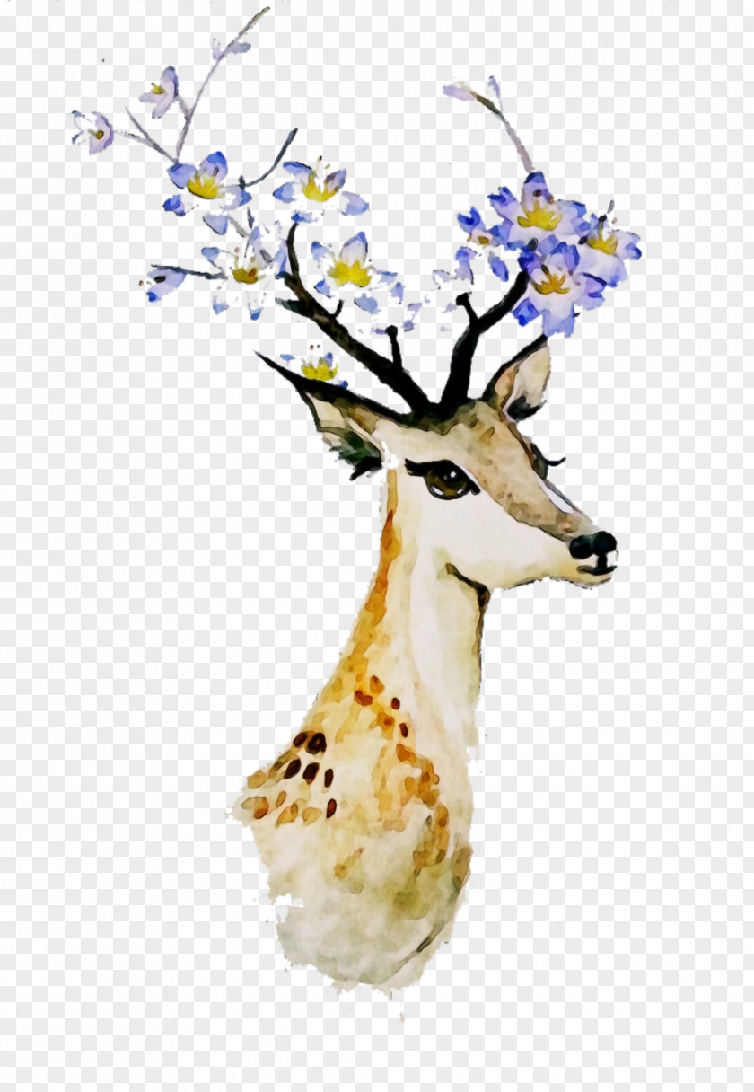 Deer Plant Branch Wildlife Fawn PNG
