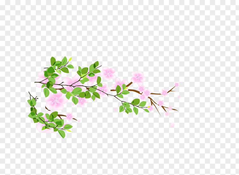 Floral Decorative Elements Graphic Design Clip Art PNG