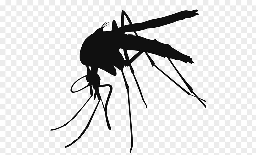 Mosquito Control Clip Art PNG