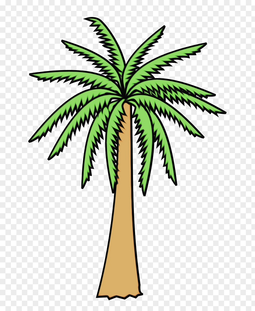 Plant Stem Woody Palm Tree PNG