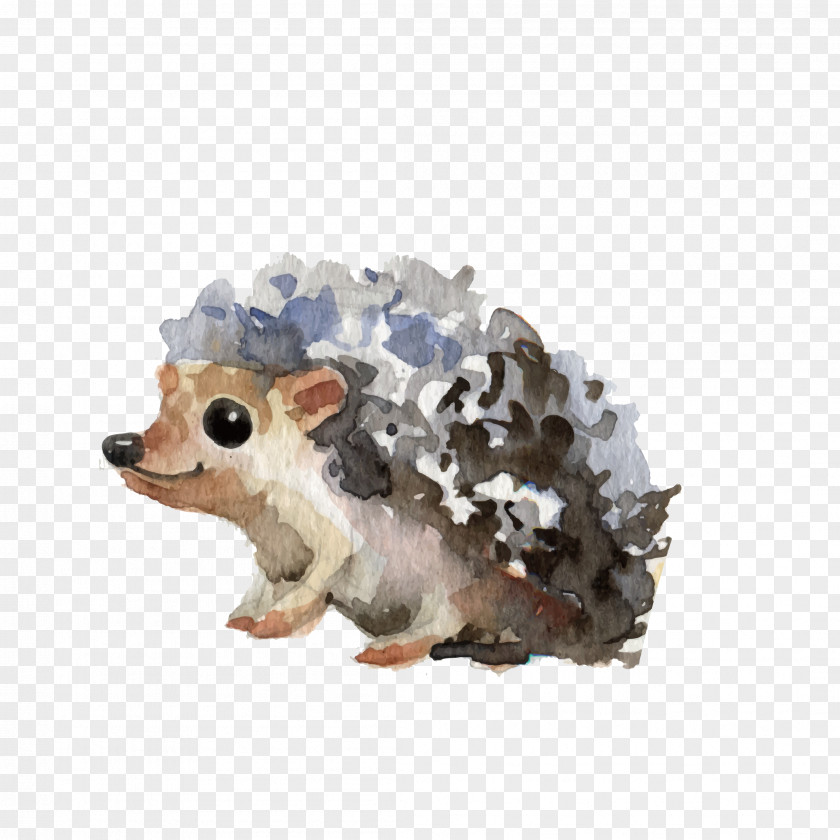 Watercolor Little Hedgehog Paper Painting PNG