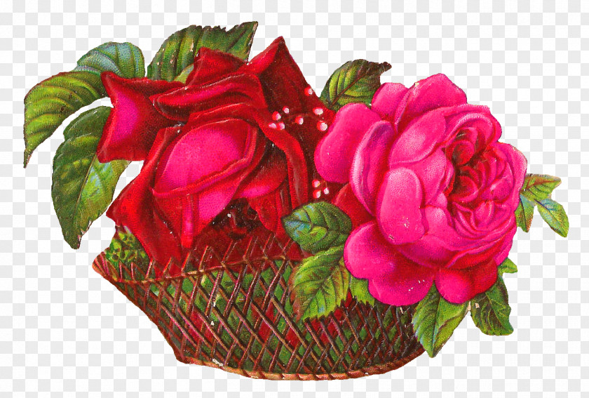 Flower Basket Cut Flowers Garden Roses Bouquet Floral Design PNG