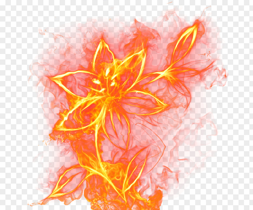 Flower Fire Rose Flame Clip Art PNG