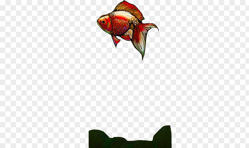 Goldfish Swimming FIG Creative Image Carassius Auratus Download Illustration PNG