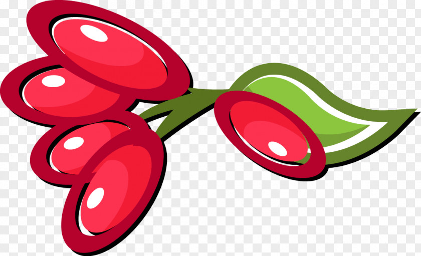 Berries Miracle Fruit Berry Dried Clip Art PNG