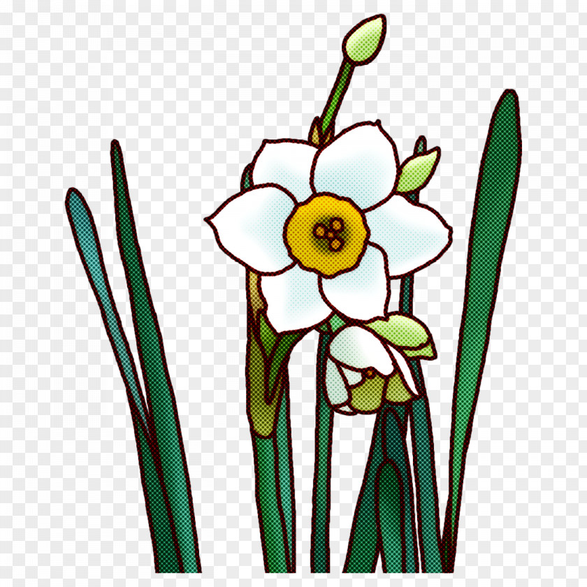 Floral Design PNG